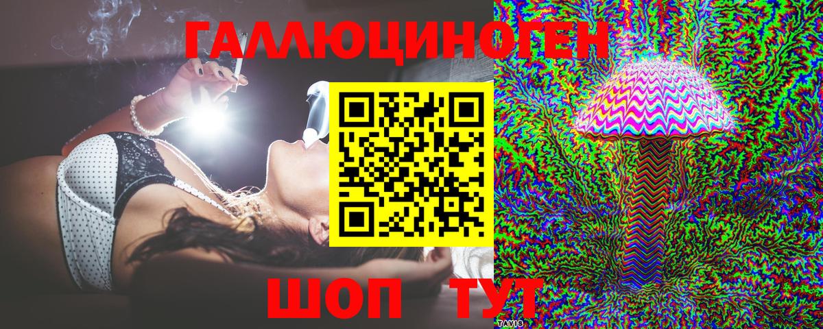 Сунжа  Галлюциногенные грибы Psilocybine cubensis  купить закладку  Вход с VPN 