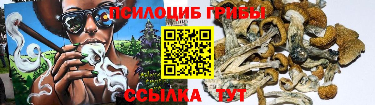 Галлюциногенные грибы Cubensis Сунжа